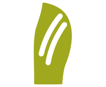 Kinesio Taping